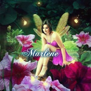 Meet your Posher, Marlene